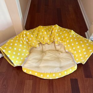 Cat tunnel/bed